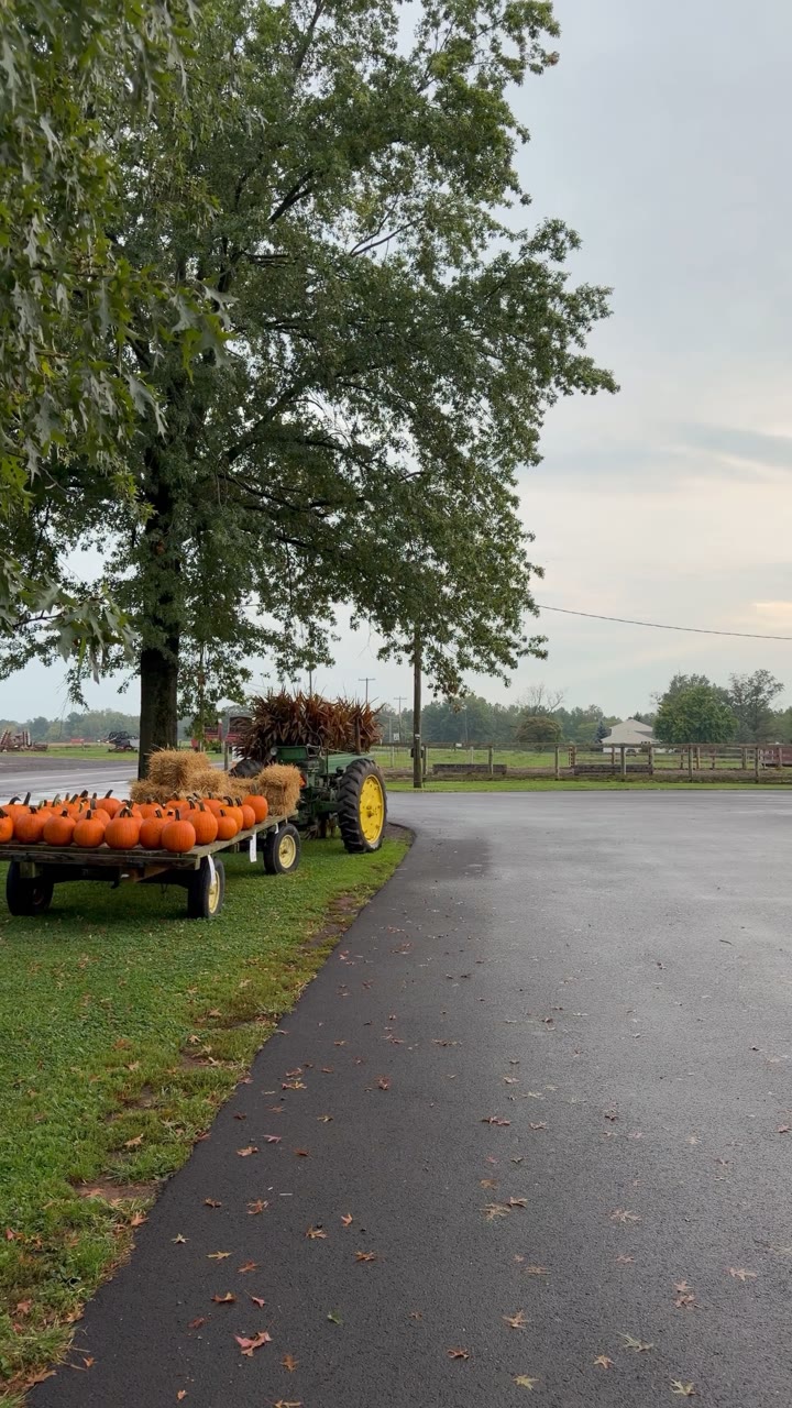 Pumpkin Wagon and Tractor, Hilltown Township — United States