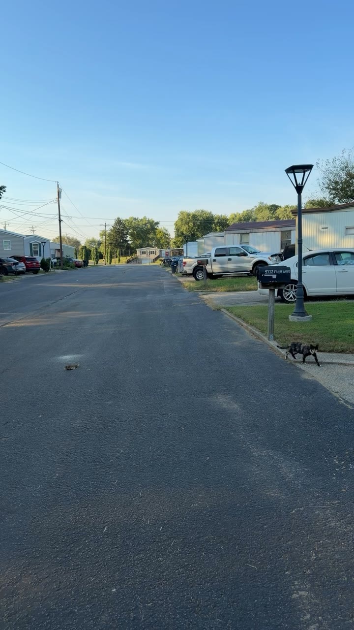 Empty Street On Palm Lane — Whitewater Township, United States