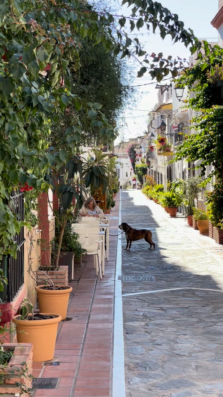 Midday Quiet, Marbella's Old Town — Spain