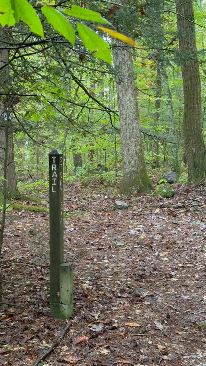 Trail Marker, Sandyston Woods — Sandyston Township, United States