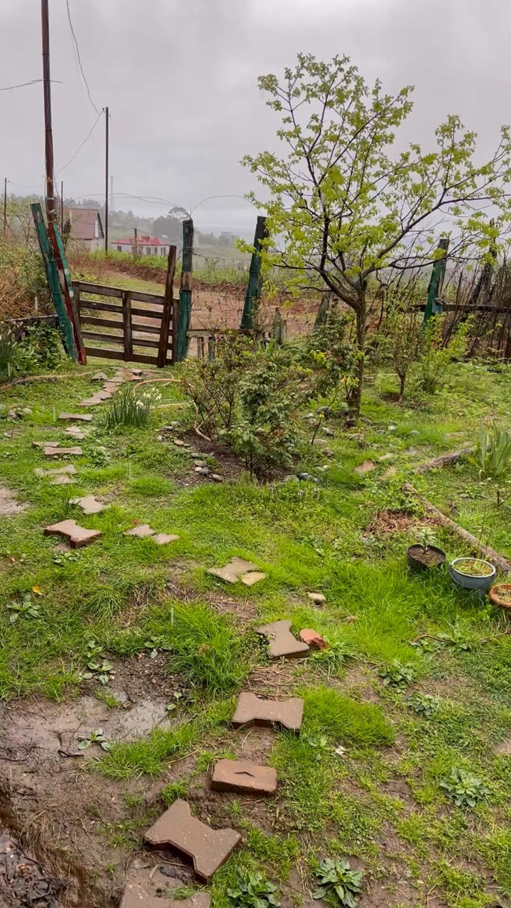 Drizzle Over Avgia's Garden Path — Zeda Charnali, Georgia
