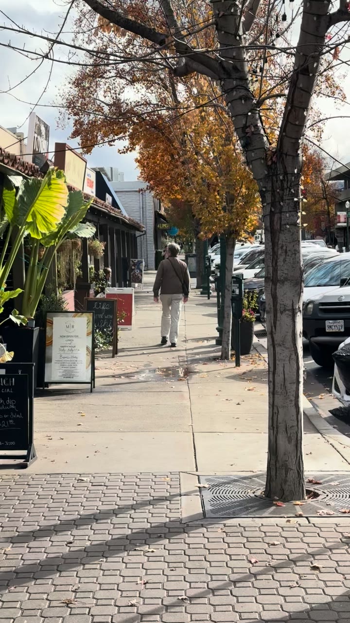 Autumn Sidewalk, Walnut Creek — United States
