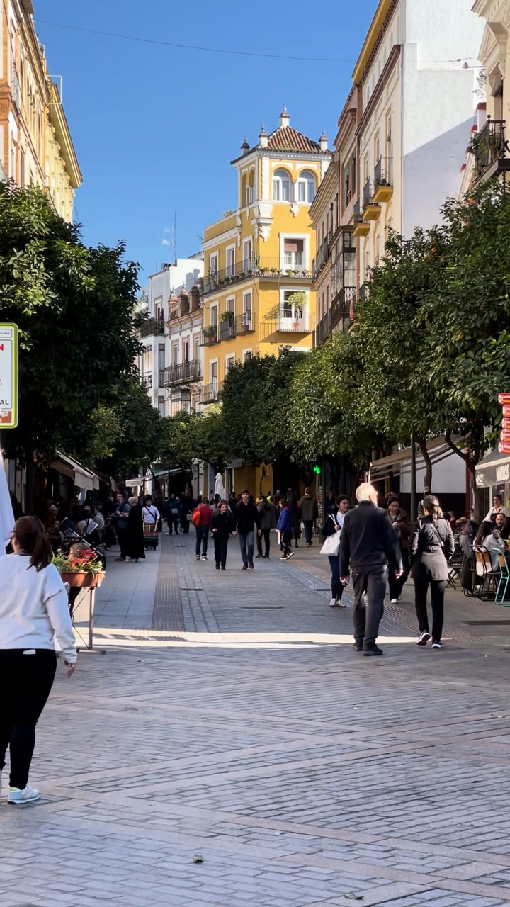 Pedestrian Street, Casco Antiguo, Seville — Spain