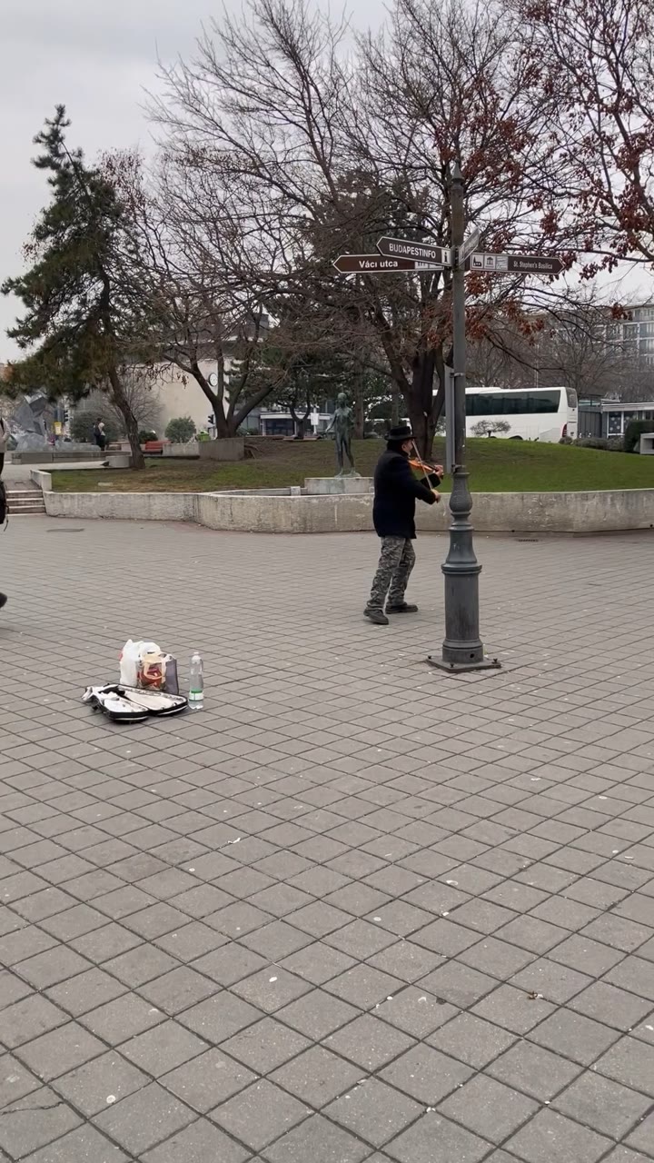 Violin Busker, Belváros Crossroads — Budapest, Hungary