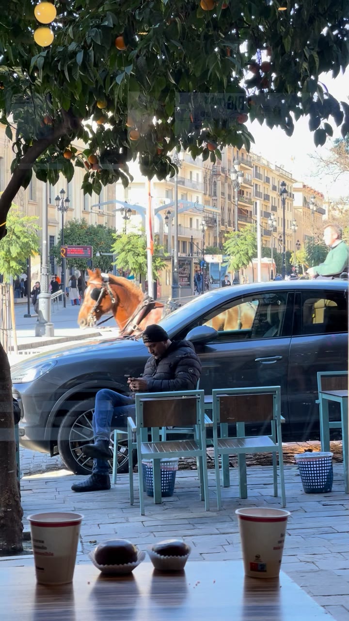 Café Terrace Table, Casco Antiguo, Seville — Spain