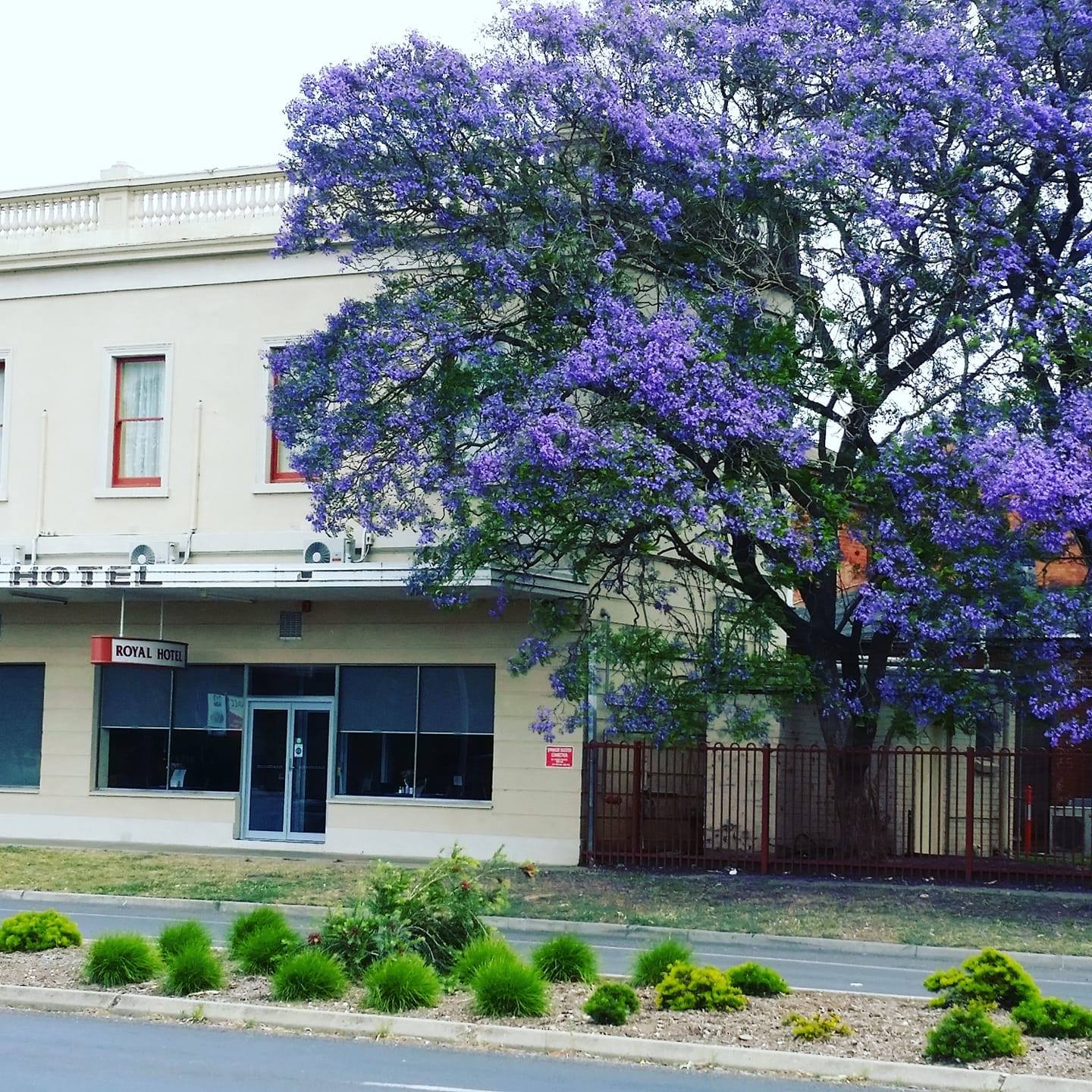 venue image 2