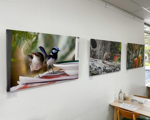 venue image 1