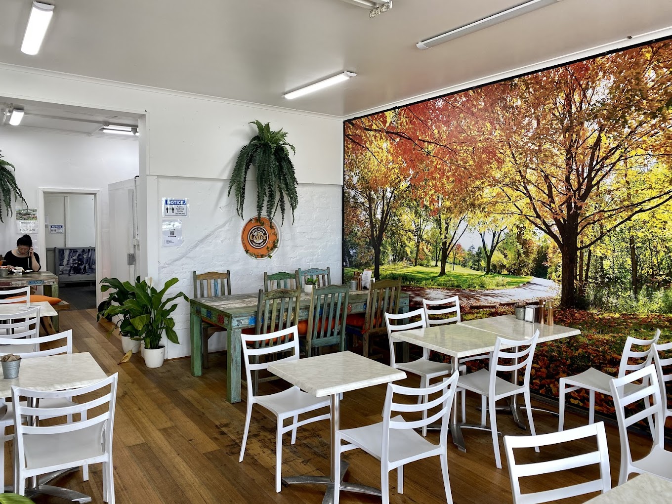 venue image 1