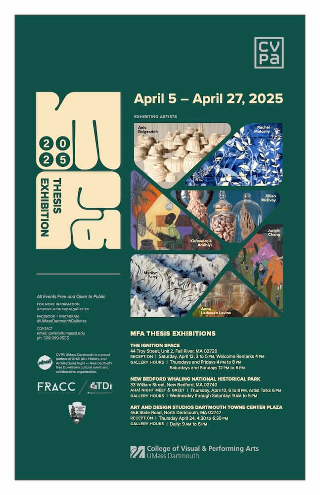 Anis Beigzadeh's Thesis show poster