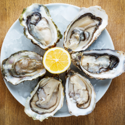 Image for Oysters/Ostiones category