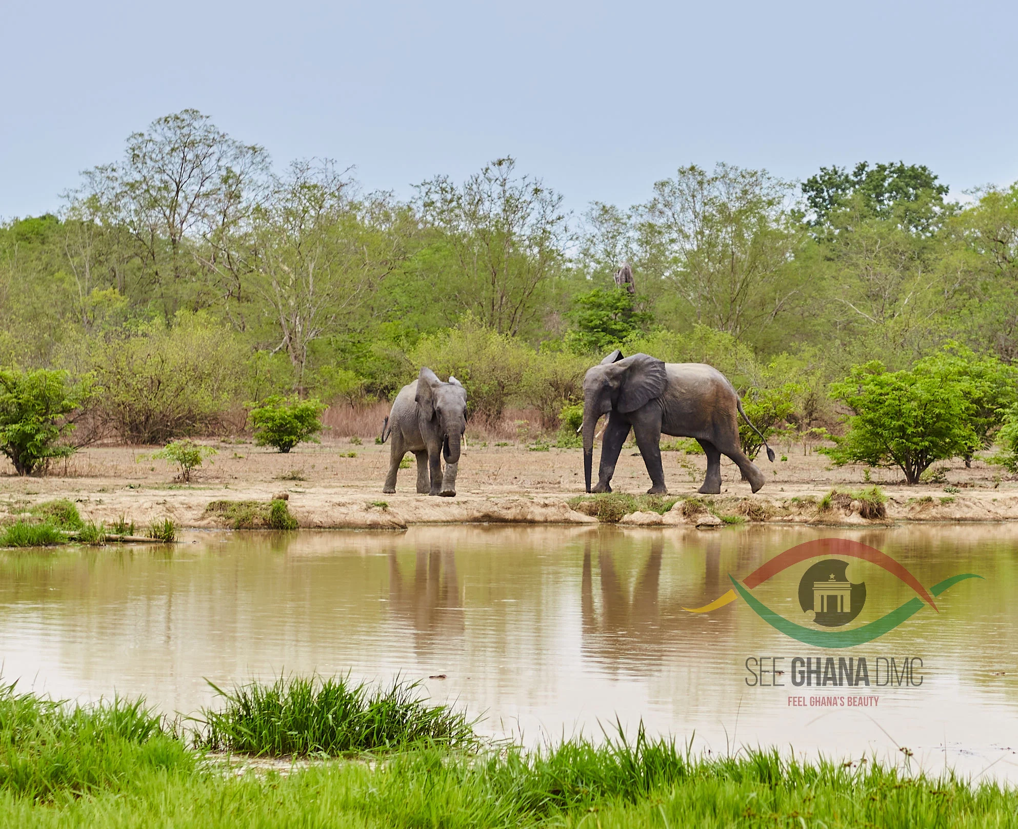 Mole National Park