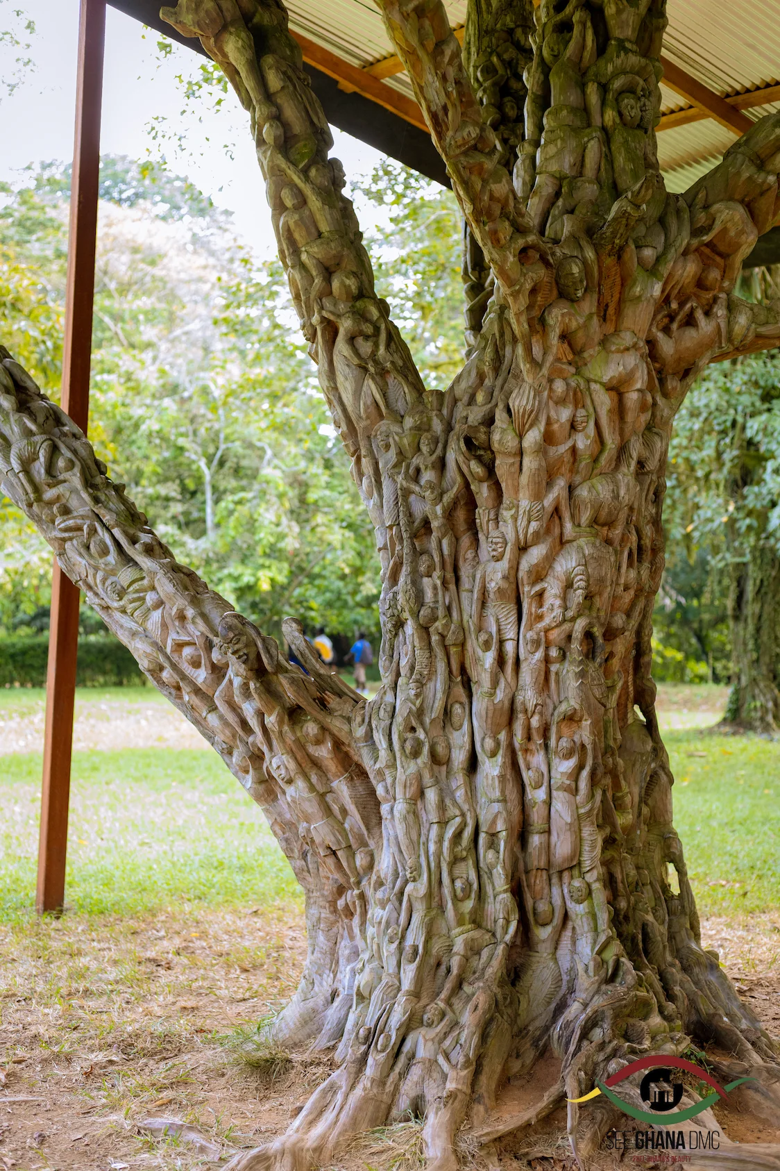 Aburi Botanical Gardens