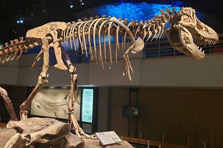 Guided Small Group or Private Badlands Tour: Calgary to Drumheller Dinosaurs