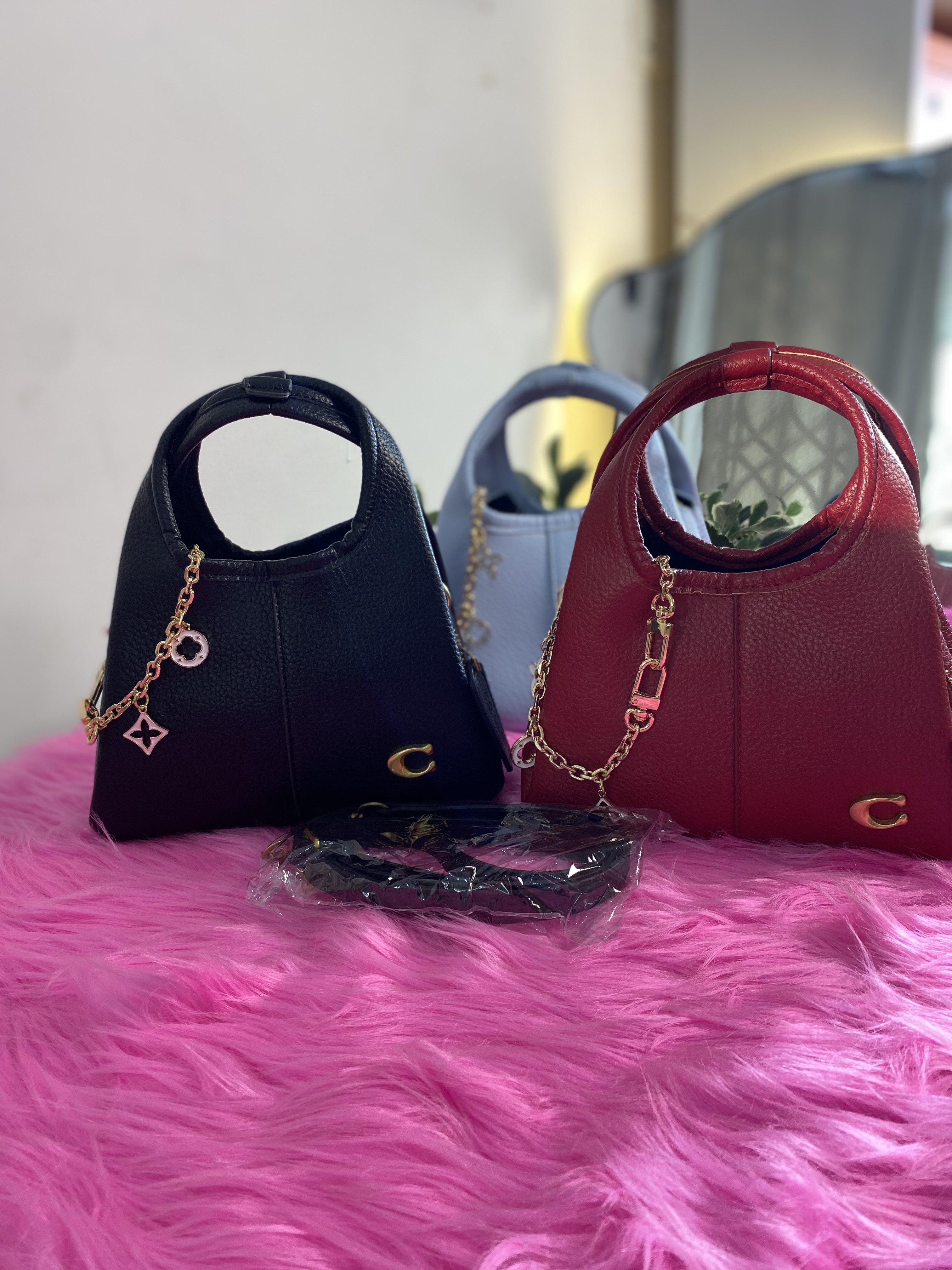 Coach bag with cherry 