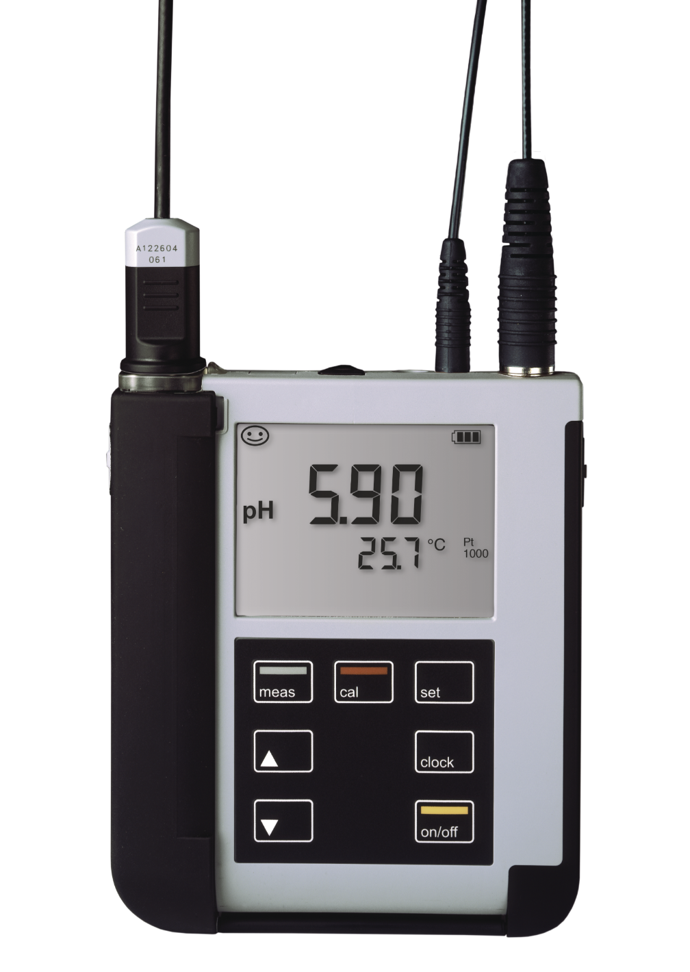 Knick Portavo 902 PH Portable pH/ORP Transmitter