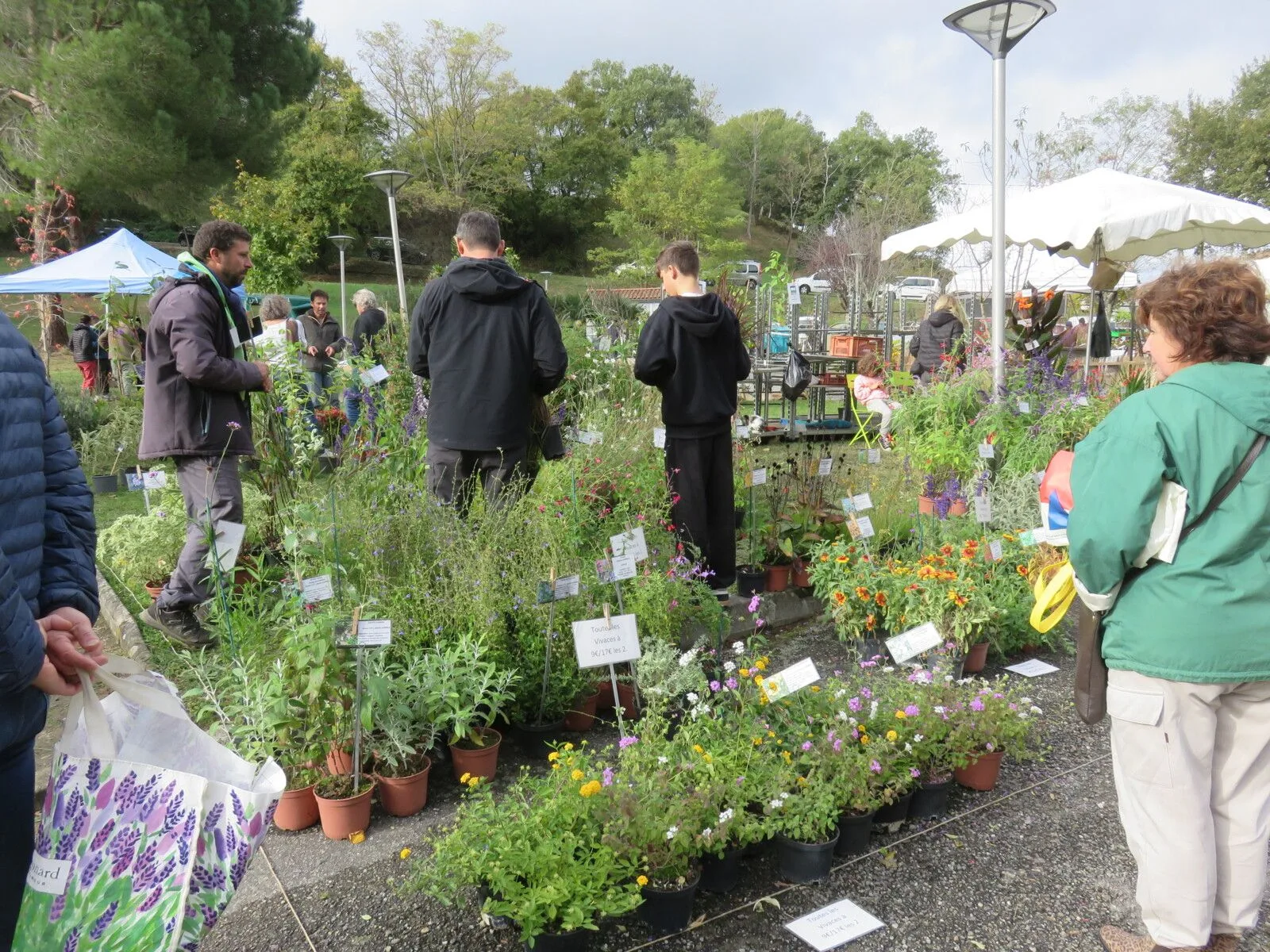 Foire aux plantes et artisanat local