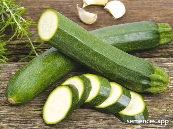 Courgette