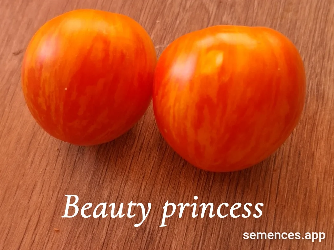 Graines de Beauty princess