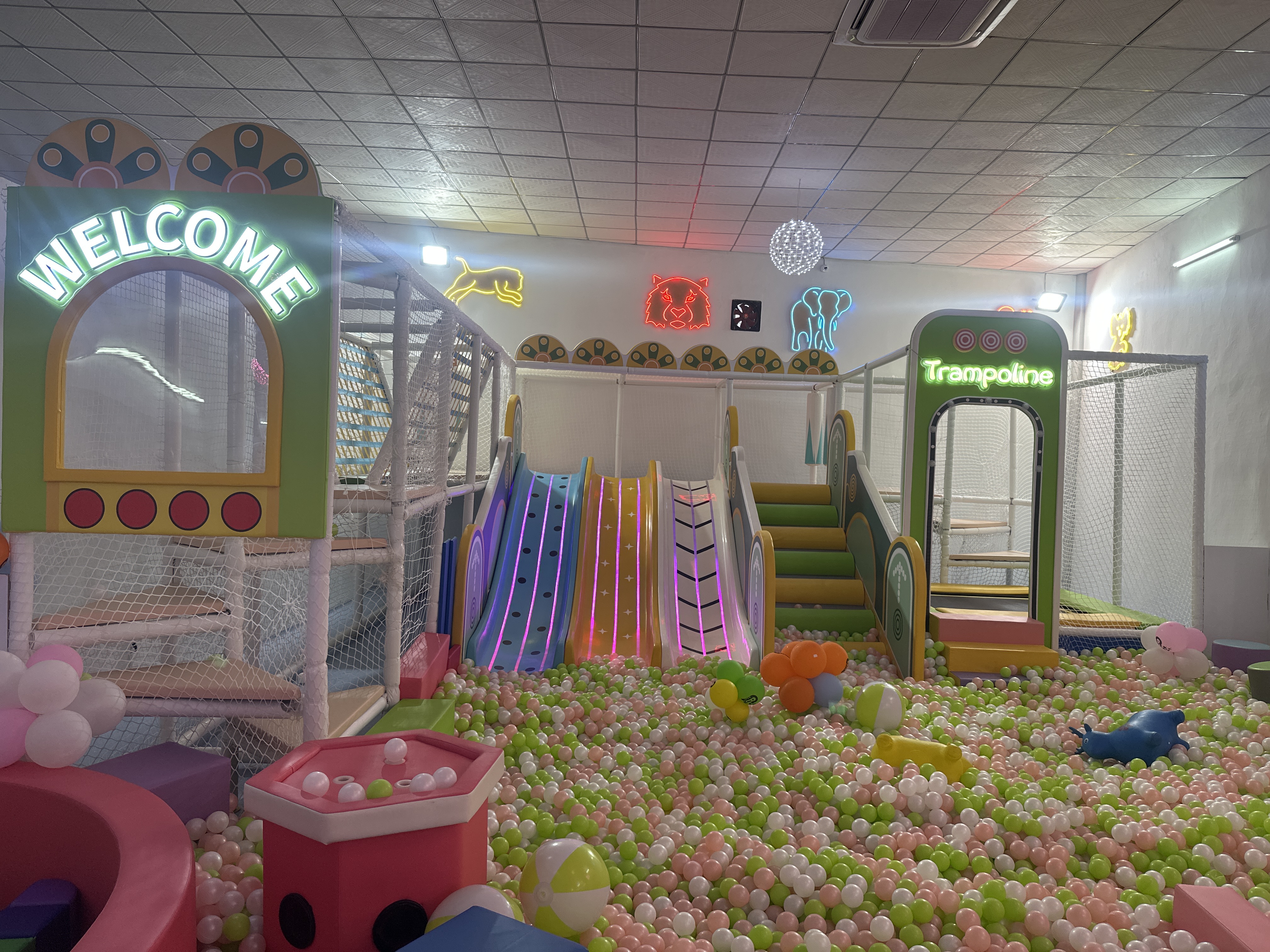 Pick N play  gallery image 3