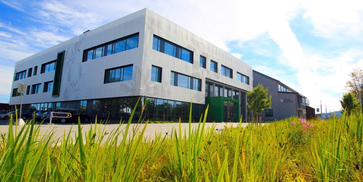 ELEVENE UNDERHOLDER Nærmiljøtreff for Strinda og Valentinlyst