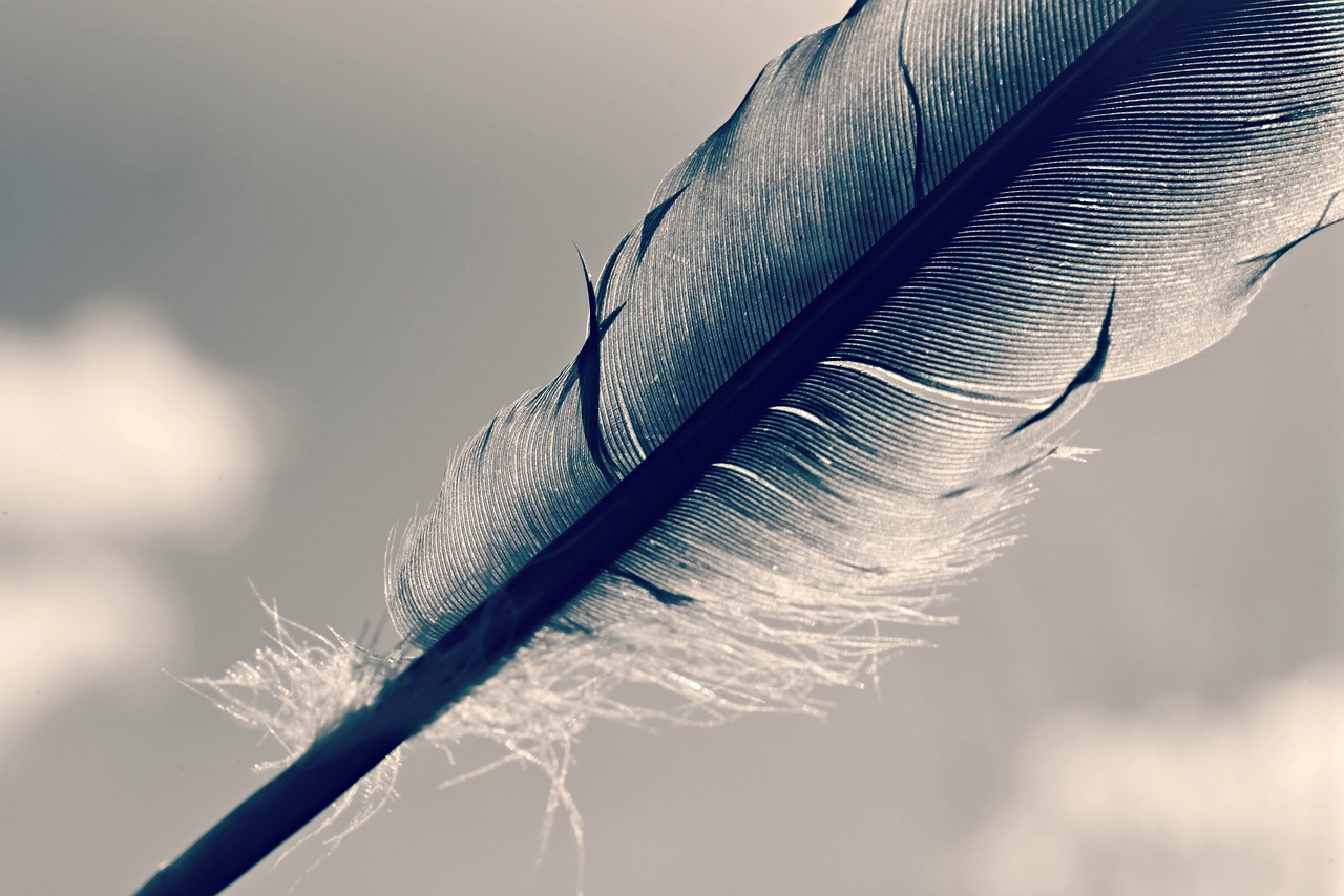 Lesson Image