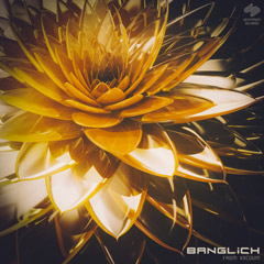 From Vacuum «Banglich» EP