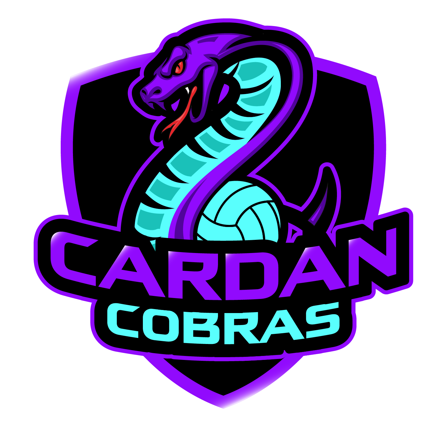 ccbvc