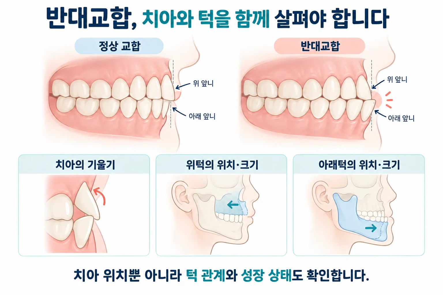 Codex 이미지 년 9월 9일 오후 01 41 01