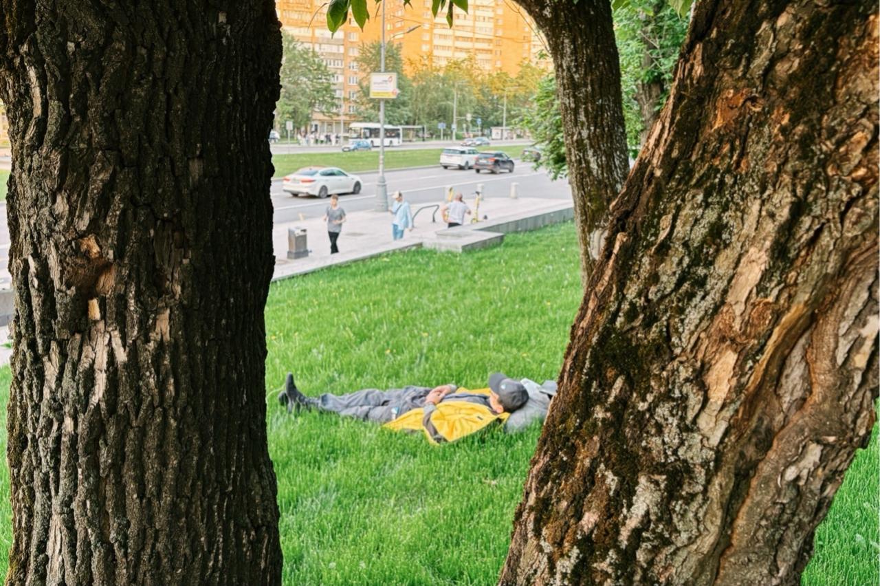 Person lying alone on the grass in a park between trees, symbolizing solitude, emotional detachment, and lack of interest in romantic relationships
