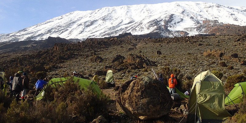 Buffalo Camp  3