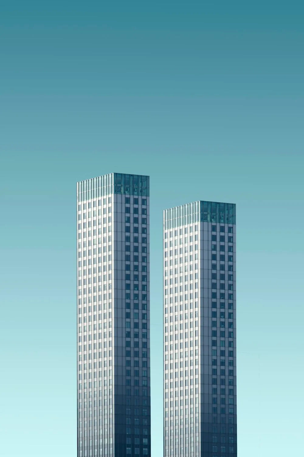 Construction Professional