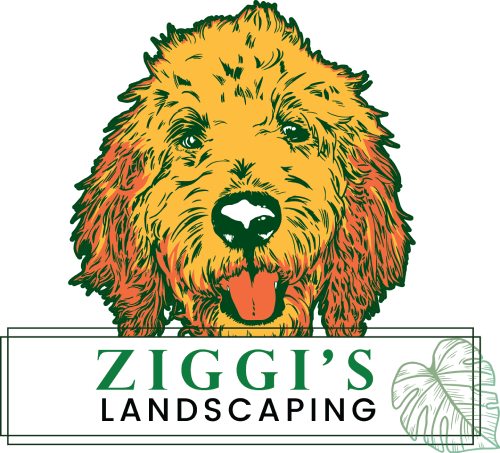 Ziggi's Landscaping logo
