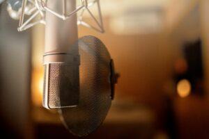 mikrofon koruyucu, pop filter
