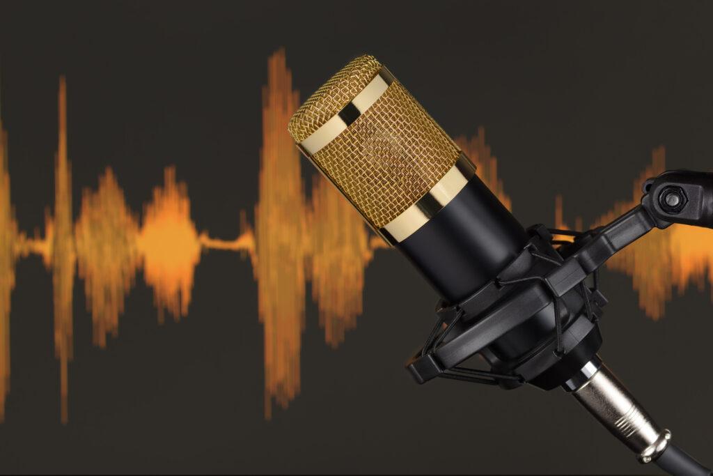 Condenser mikrofon nedir