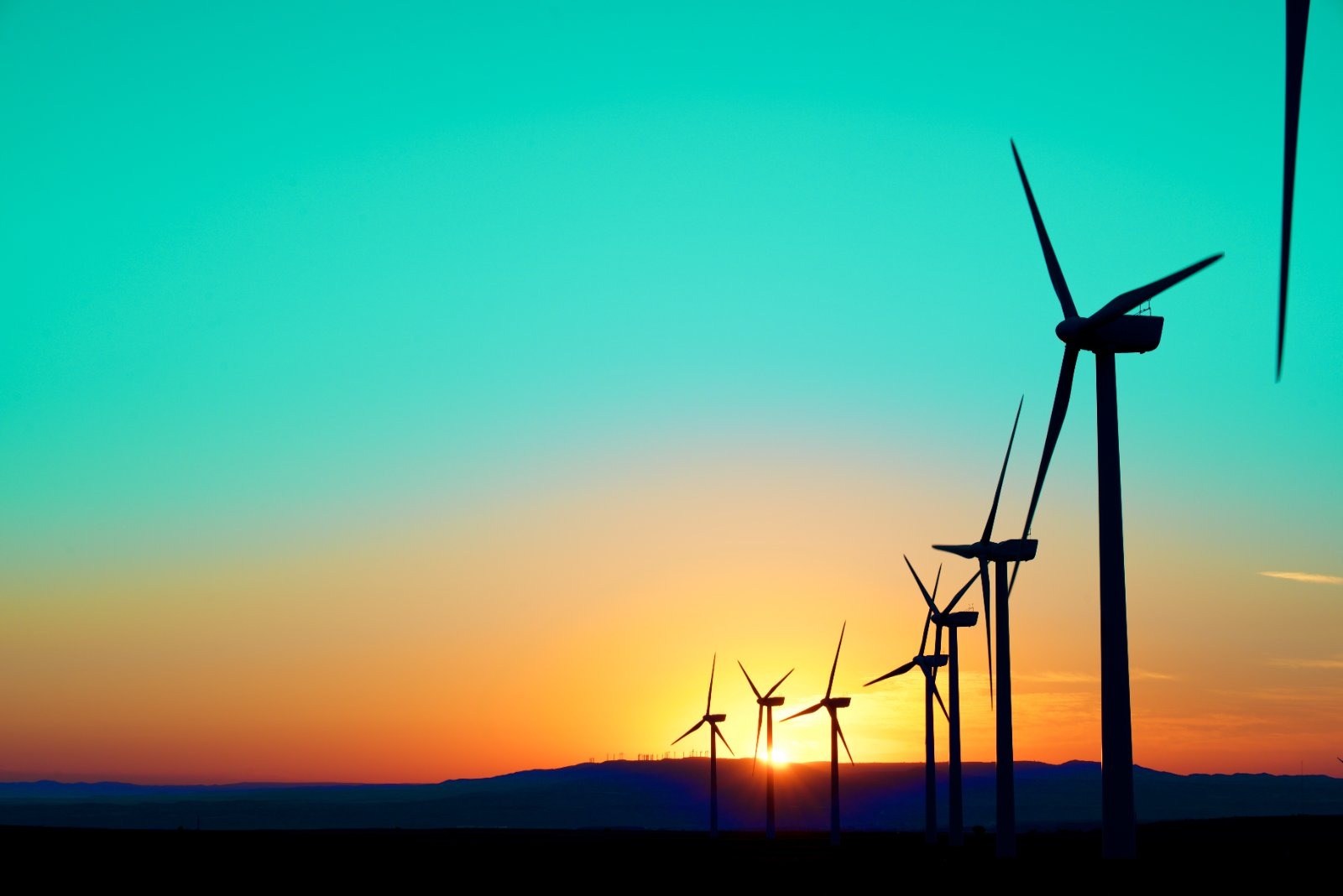 Wind turbines like those generating power across Britain, where payments to switch them off have already surpassed £1.5 billion this year — with every penny passed onto household energy bills.