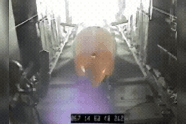 The MOAB has seen combat only once before — in 2017, when Trump ordered it dropped on ISIS positions in Afghanistan, making him the only US president ever to use it in battle.