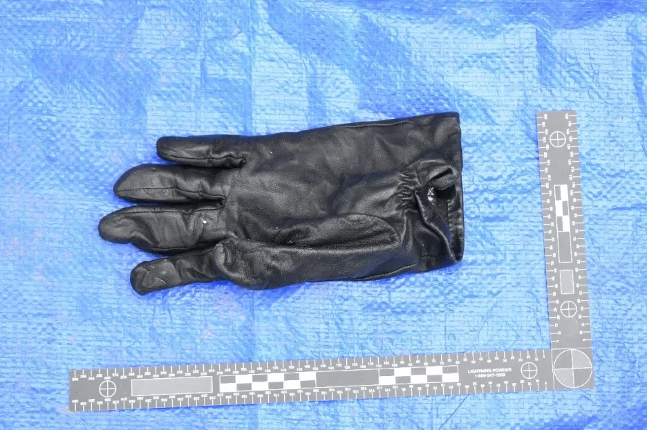 Islington man admits PETROL-BOMBING a migrant hotel after fire dog sniffed out his glove