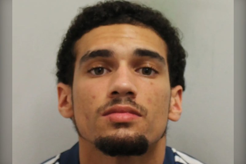Dantay Roche pleaded guilty to causing death by dangerous driving after striking Marie Theobald and her two dogs on Manford Way, Ilford, three days before Christmas 2023.