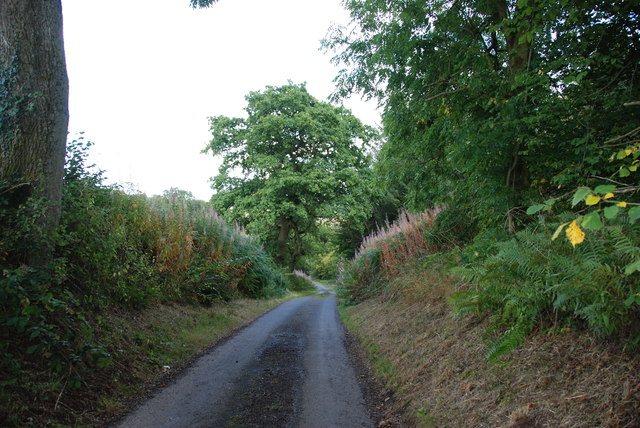Sheepwalks Lane, Kinver, the country lane where specialist fire investigators from West Midlands and Staffordshire Fire and Rescue Services were called to assist after a body was found inside a burnt-out car.