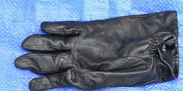 The black leather glove recovered from a nearby bin by London Fire Brigade springer spaniel Simba also carried Mark Neville's DNA, helping detectives charge him within 48 hours.