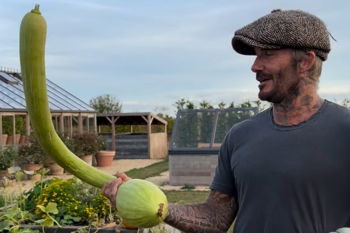 David Beckham, whose Holland Park home cost £31.5m, lives on the same street as the apartment block at the centre of a High Court battle over plans to excavate a basement gym and cinema.