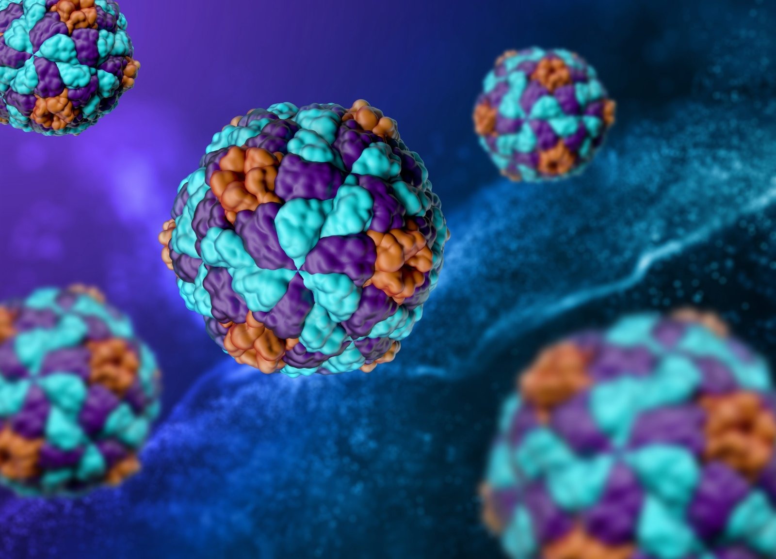 Hepatitis A alert issued to parents at two Newcastle primary schools after unlinked cases are confirmed