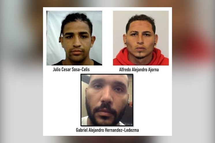 Julio Cesar Sosa-Celis, Alfredo Alejandro Ajorna and Gabriel Alejandro Hernandez-Ledzema, all described by DHS as being in the country illegally, are connected to the case Minnesota must now pursue through further leg...