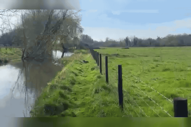 Samba the capybara spotted in Twyford, near Winchester — her sister Tango was recaptured within days of the pair escaping Marwell Zoo together, but Samba has remained on the loose for more than six months.