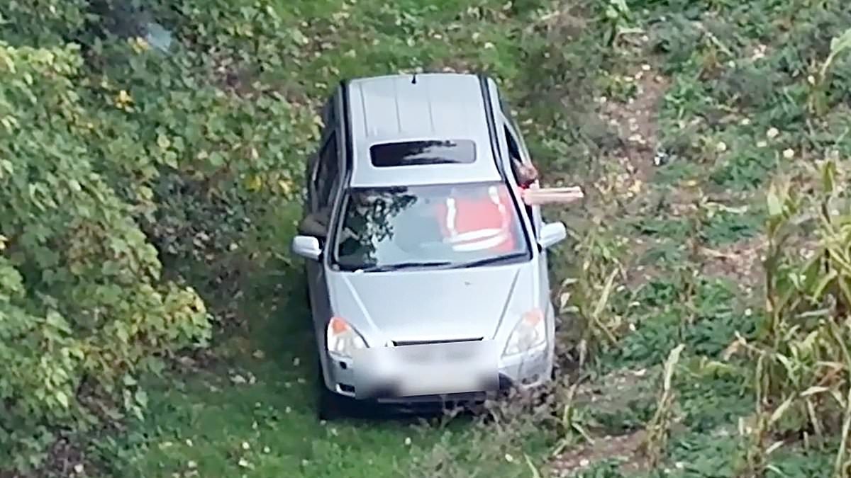 The 29-year-old from Dibden Purlieu in the New Forest, who admitted using a catapult to fire ball bearings at pheasants from a moving car, was dealt with by community resolution rather than charge.