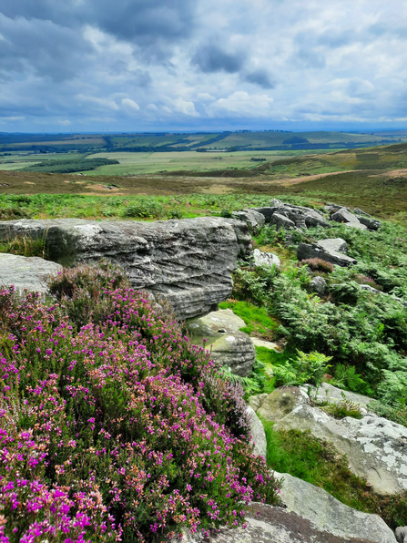 The Rothbury Estate in Northumberland, which spans more than 3,800 hectares of moorland, wooded valleys, the River Coquet and farmland, described by David Attenborough as "something very special" after the Wildlife…