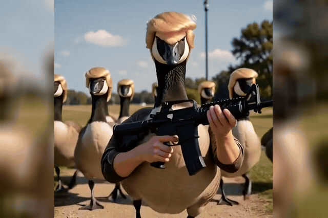 Trump posts 'Donald Ducks' AI video shows armed, quiffed geese defending 'Lake America'