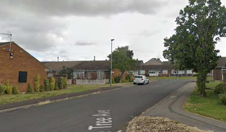 Rose Tree Avenue, Cudworth, where two vehicles were driven at Liam Green in turn, leaving his mother Lori Hilton to run across the road and hold his hand.