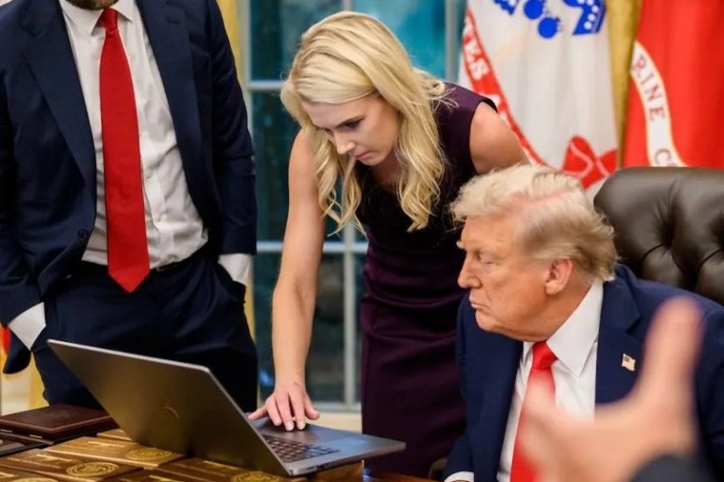 Trump aide Natalie Harp breaks silence on her boss's 'rare gift' as presidential insiders warn of her rising influence over president
