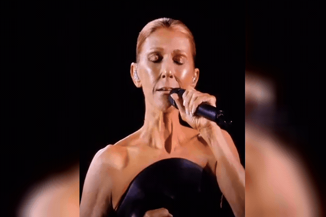 Céline Dion, whose new £69.99 Mattel collectible recreates the navy blue gown and 'Heart of the Ocean' necklace she wore at the 1998 Academy Awards.